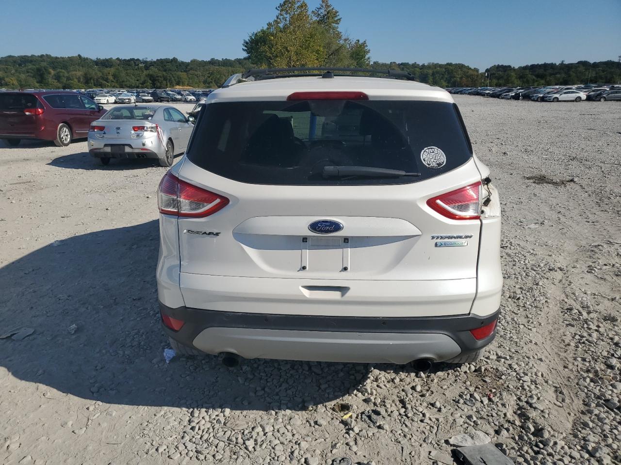 2013 Ford Escape Titanium VIN: 1FMCU0J91DUD76232 Lot: 81092715
