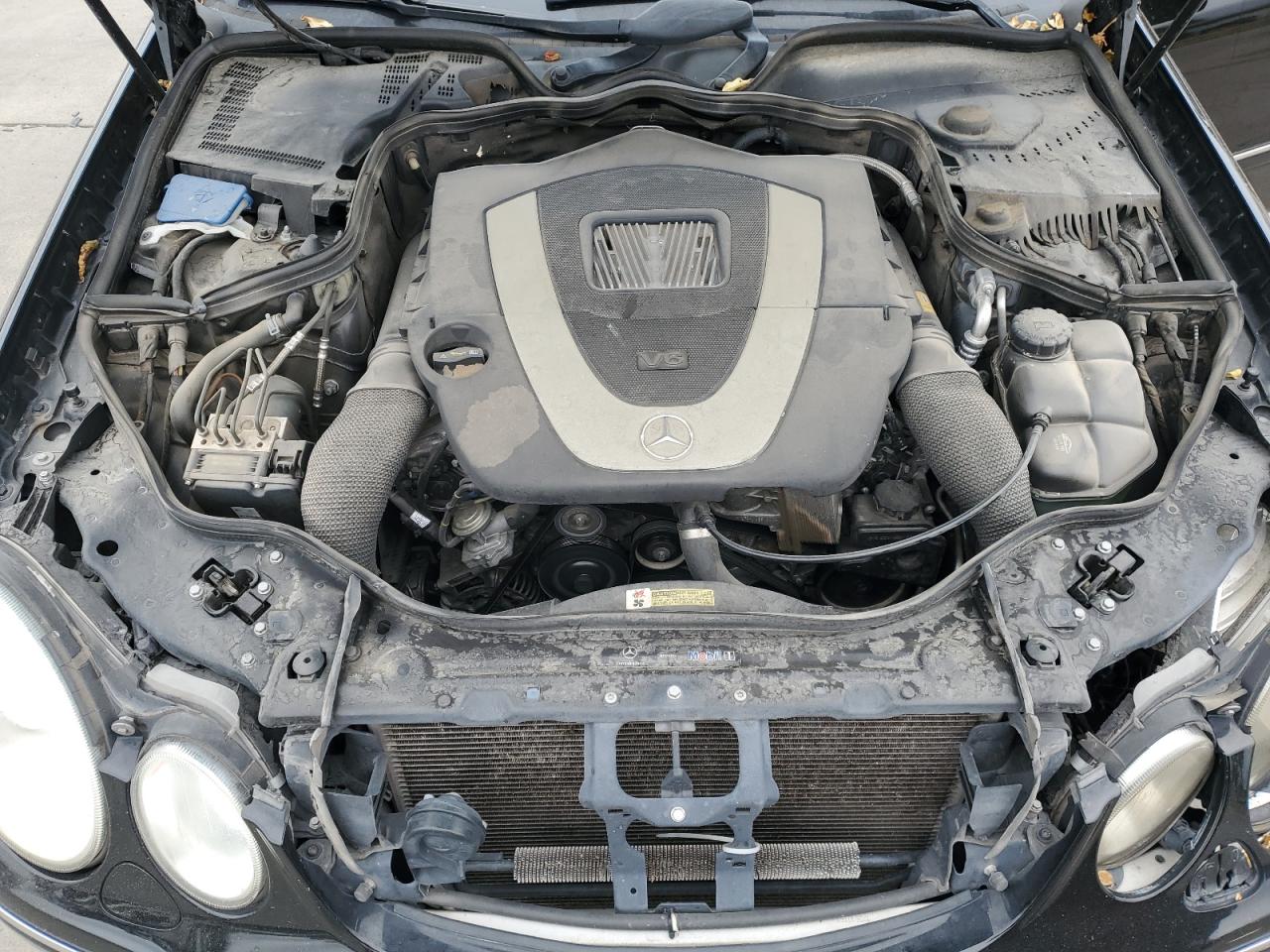 2009 Mercedes-Benz E 350 VIN: WDBUF56X39B369498 Lot: 81836335