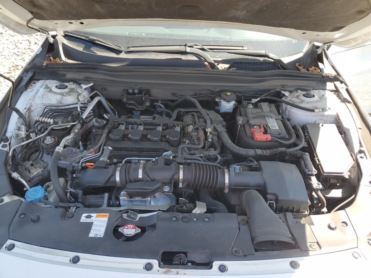 2021 Honda Accord Exl VIN: 1HGCV1F5XMA076298 Lot: 80262595