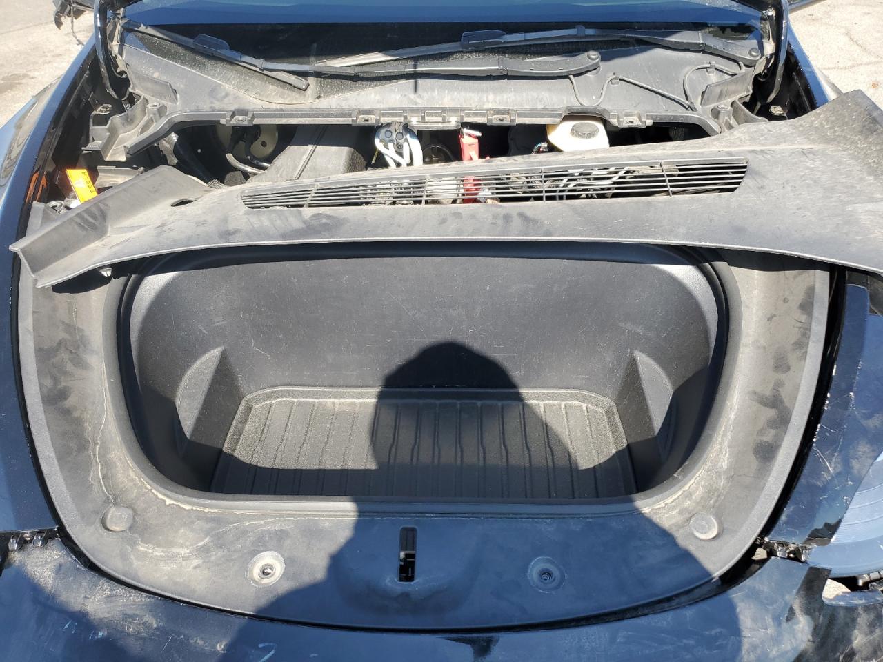 2023 Tesla Model Y VIN: 7SAYGDEE4PF907889 Lot: 83761445