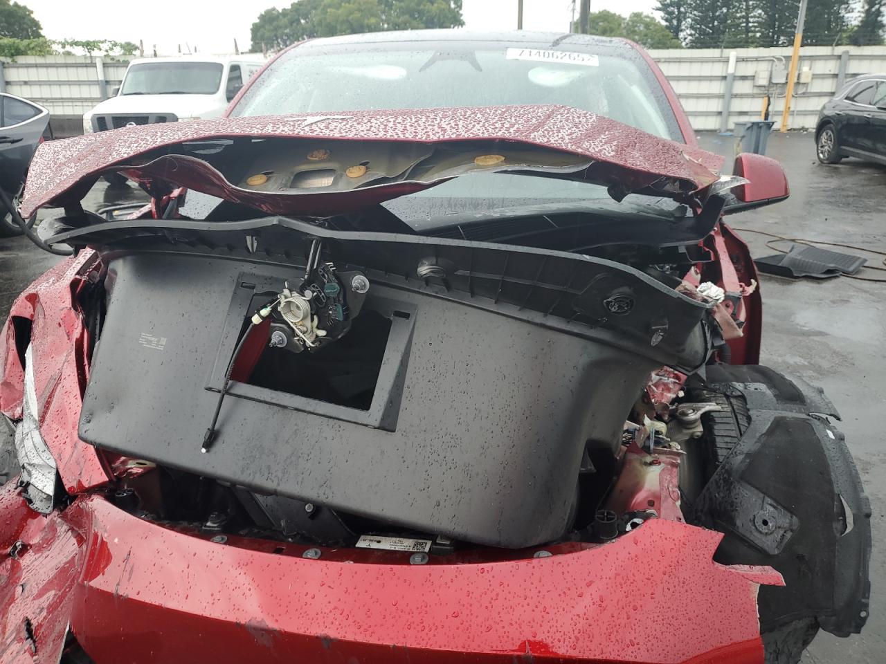 2024 Tesla Model Y VIN: 7SAYGDEE2RA256441 Lot: 71406265