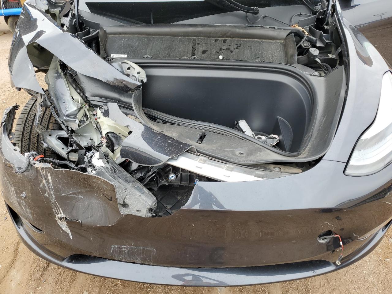 2025 Tesla Model Y VIN: 7SAYGDED3SF228549 Lot: 81584725