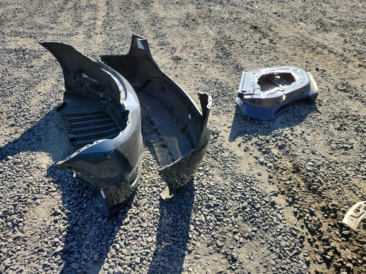 2023 Tesla Model Y VIN: 7SAYGDEE4PA100737 Lot: 80720965