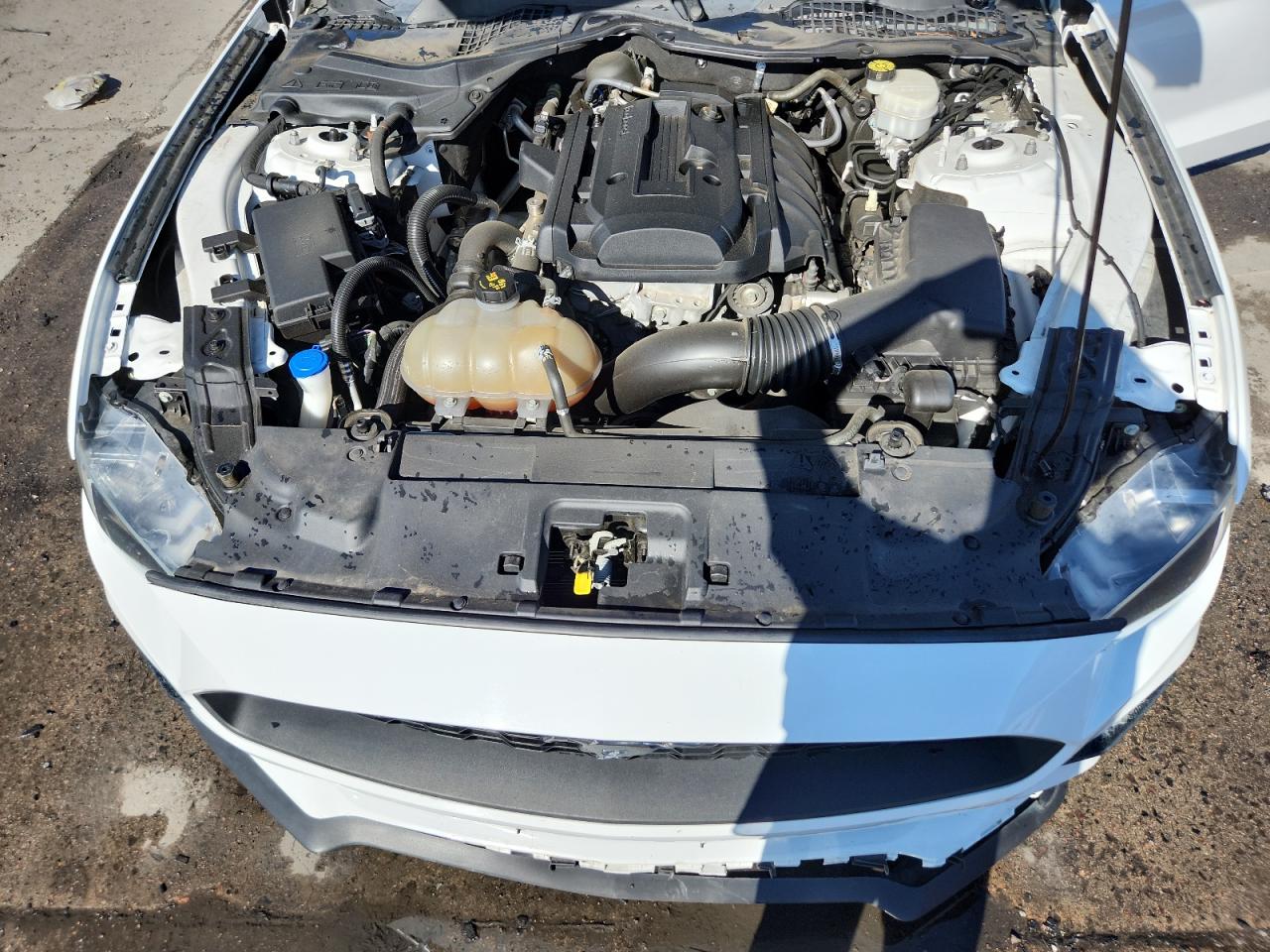 2020 Ford Mustang VIN: 1FA6P8TH8L5126237 Lot: 84001055