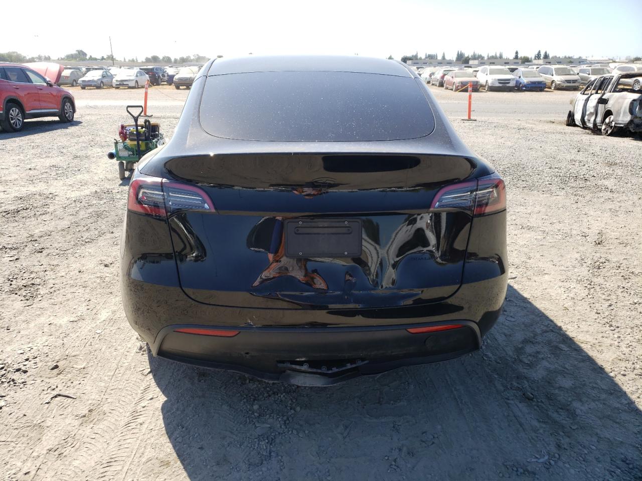 2023 Tesla Model Y VIN: 7SAYGDEEXPF792229 Lot: 81672125