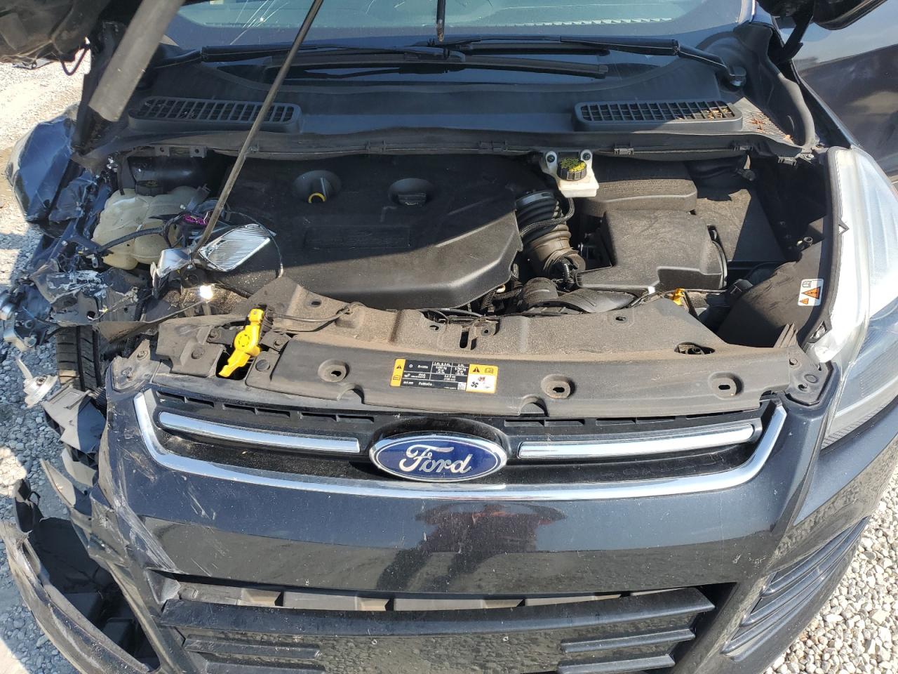 2014 Ford Escape Titanium VIN: 1FMCU9J97EUE32213 Lot: 81614935