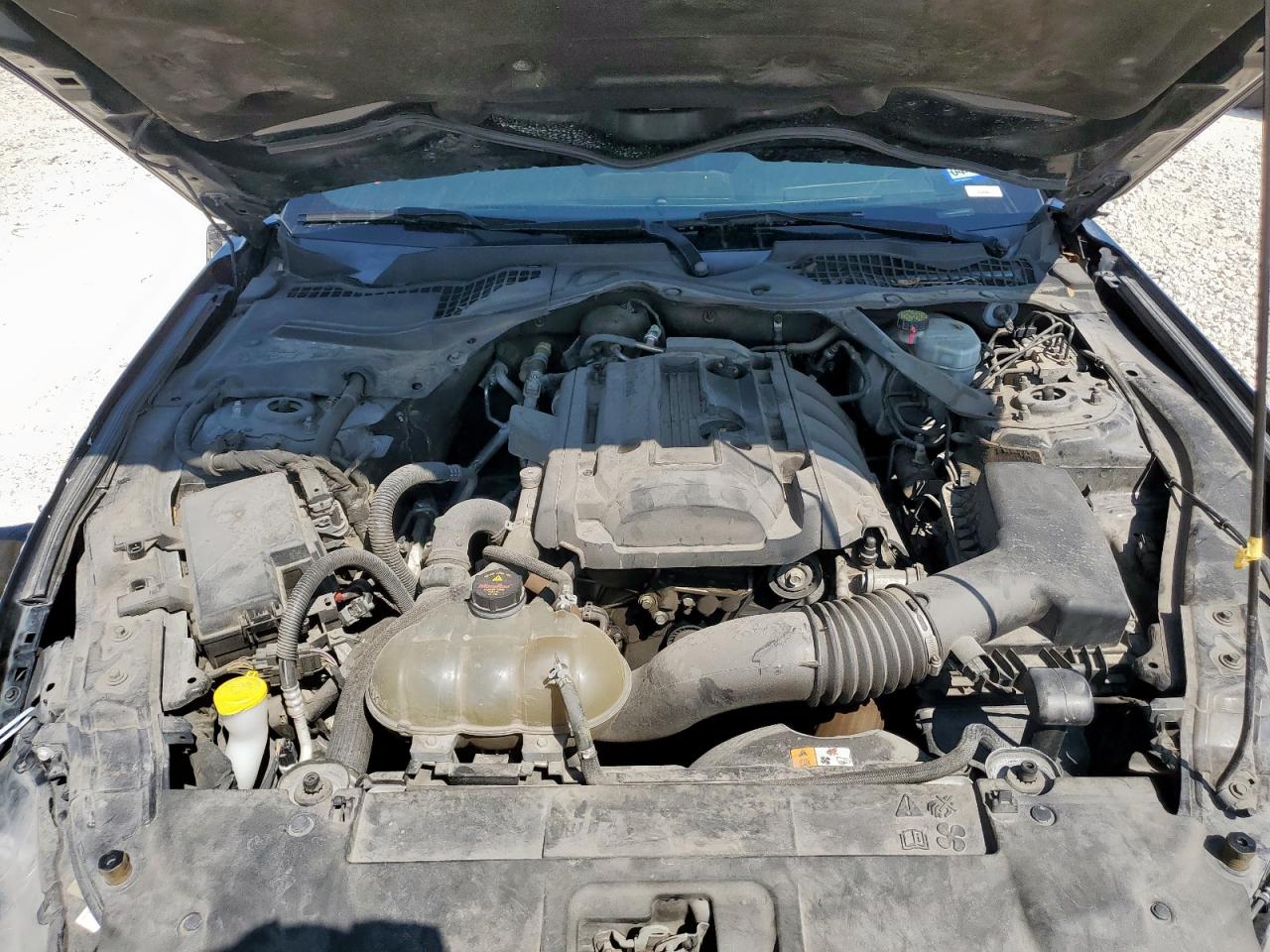 2018 Ford Mustang VIN: 1FATP8UH2J5137975 Lot: 71727855