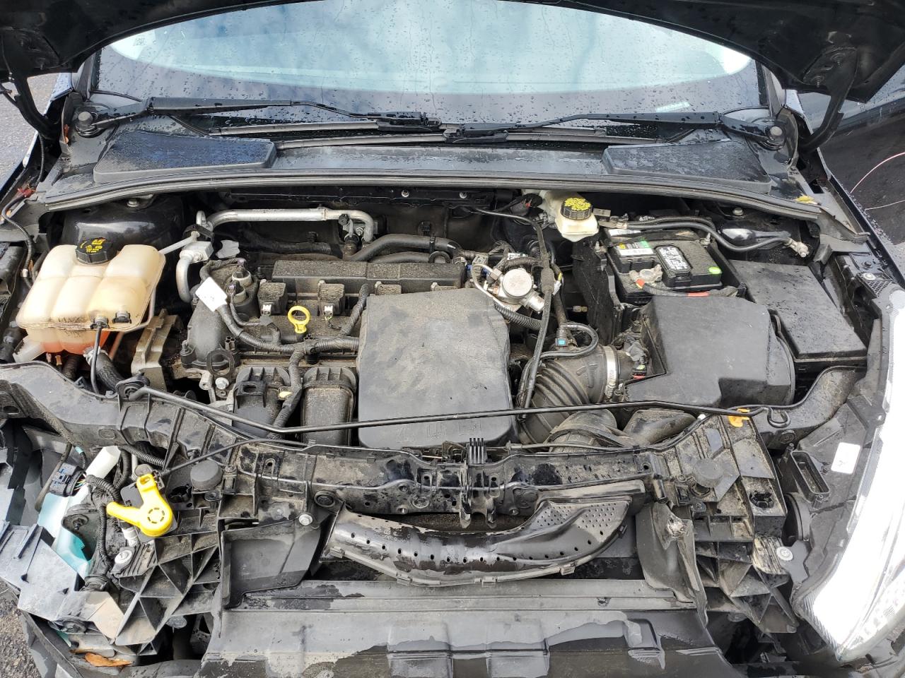 2017 Ford Focus Se VIN: 1FADP3K21HL241546 Lot: 81568885