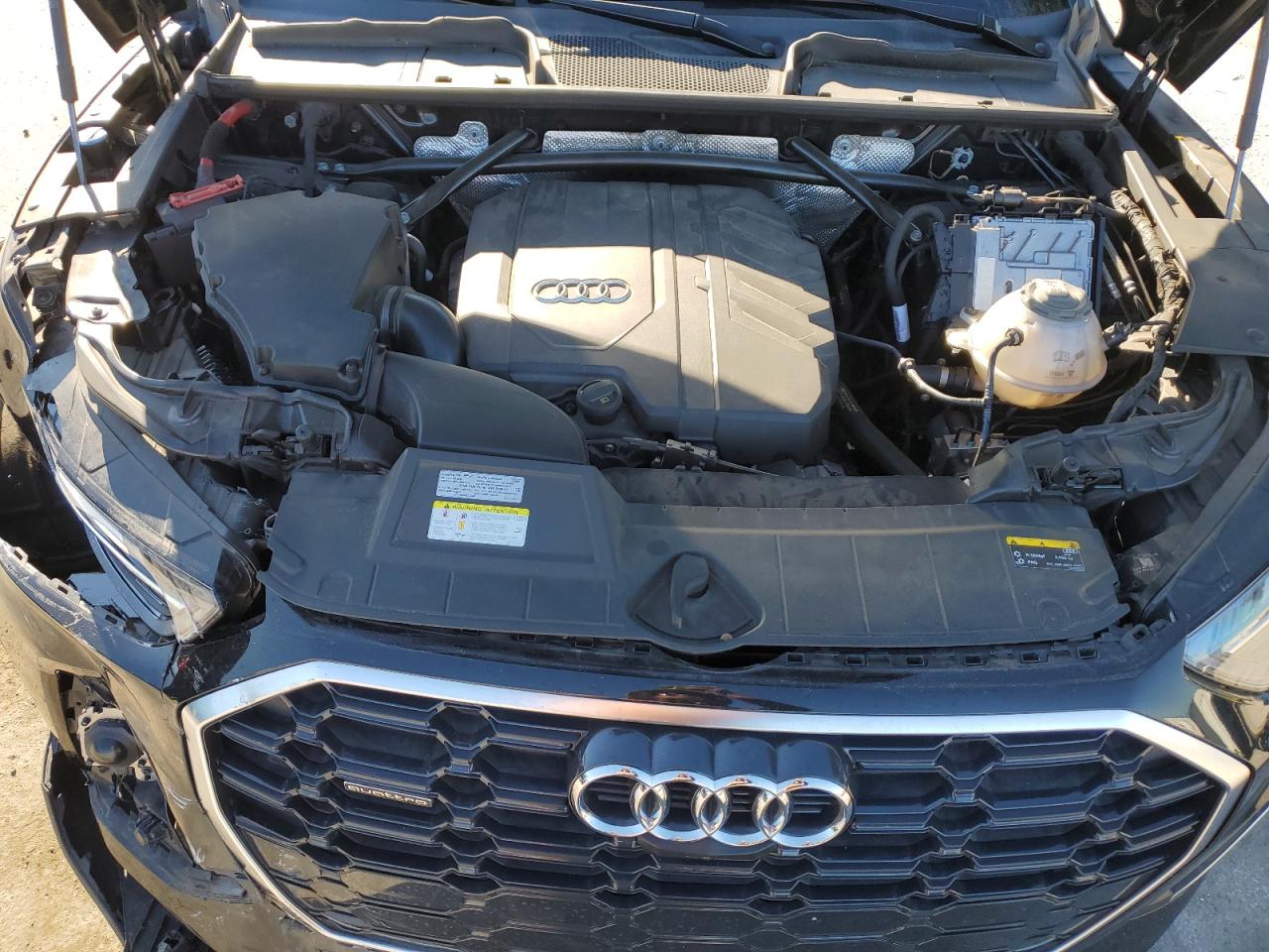 2022 Audi Q5 Premium Plus 45 VIN: WA1EAAFY4N2023261 Lot: 81777005