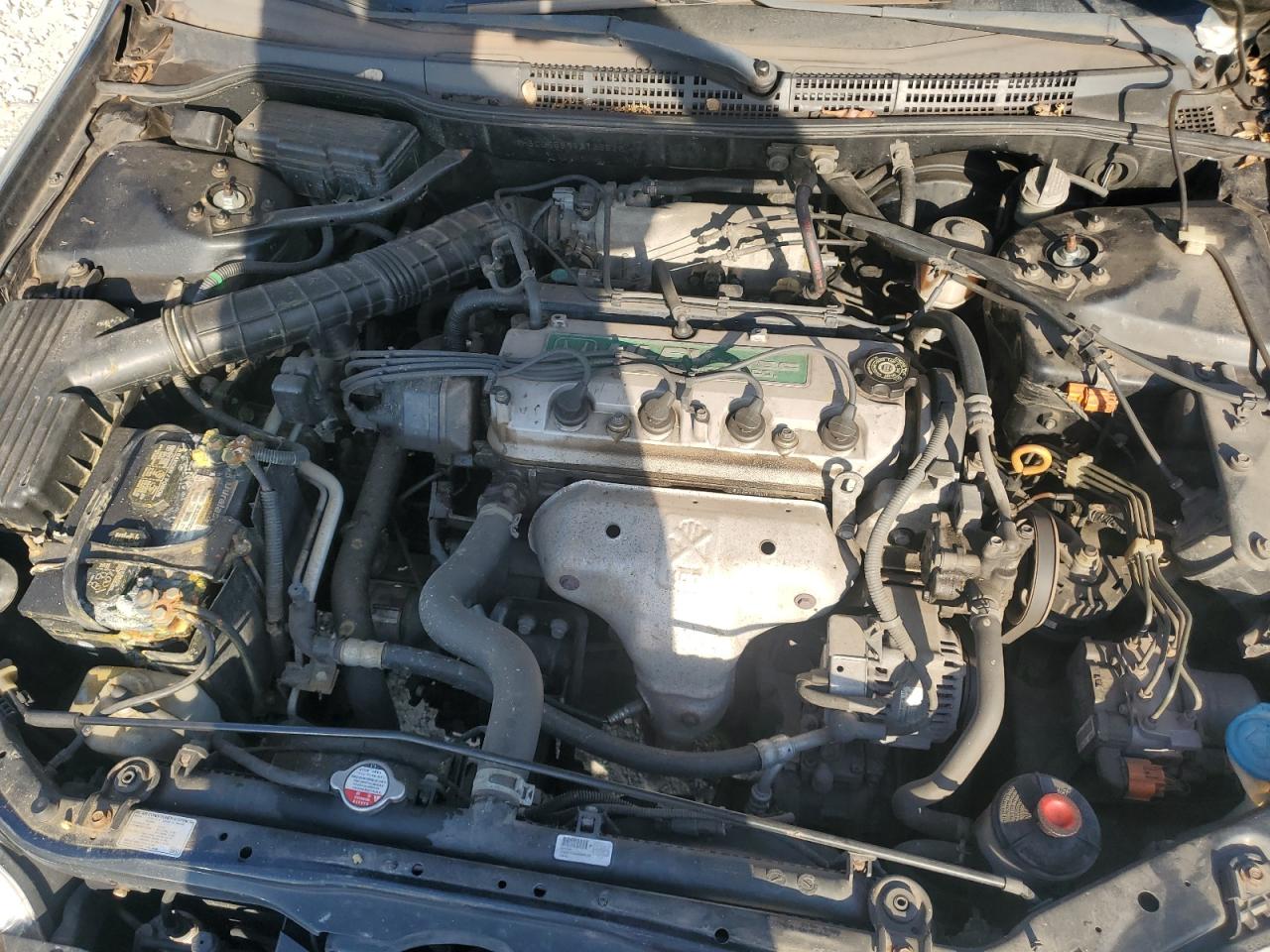 2001 Honda Accord Ex VIN: 1HGCG55691A135526 Lot: 86244605