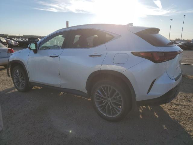 LEXUS NX 350 2022 Белы