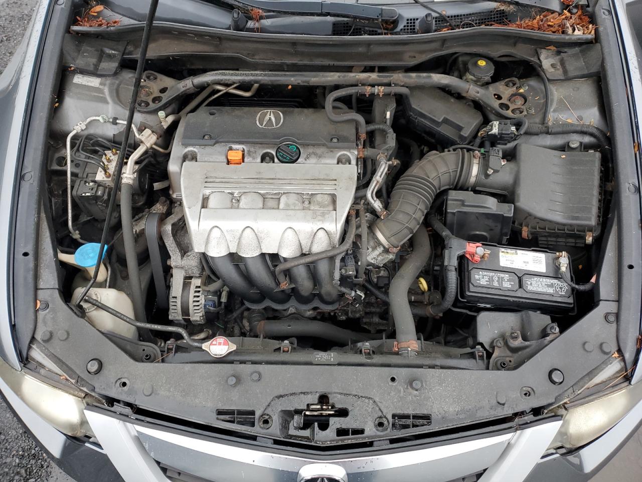 2010 Acura Tsx VIN: JH4CU2F65AC040260 Lot: 83884895