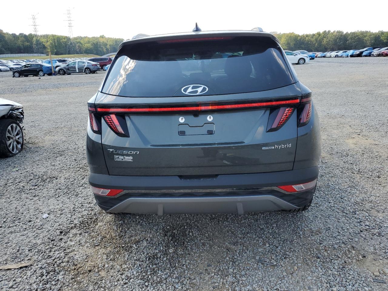 2023 Hyundai Tucson Limited VIN: KM8JECA10PU118417 Lot: 81398765