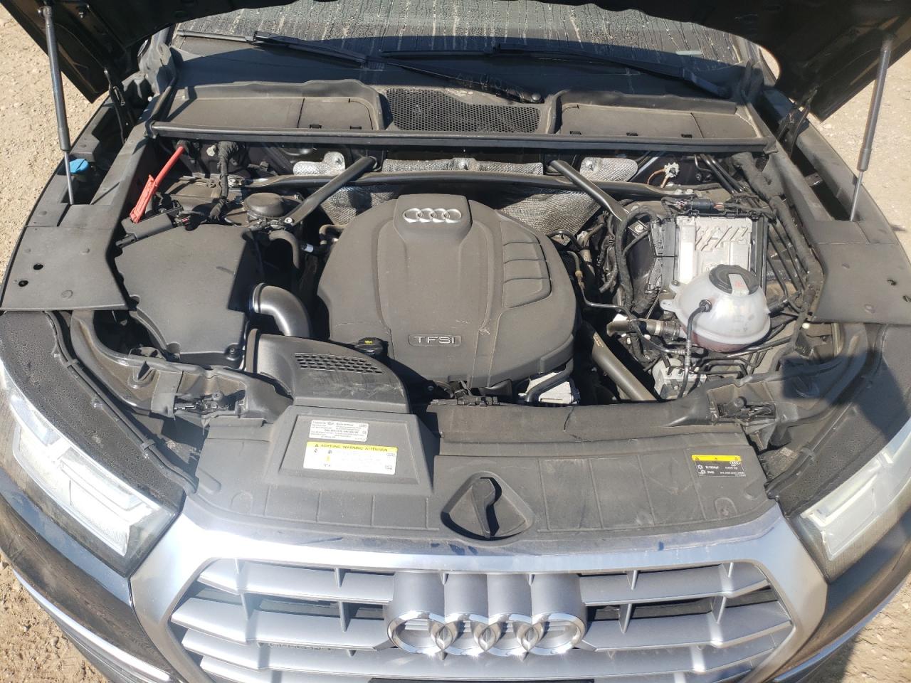 2019 Audi Q5 Premium Plus VIN: WA1BNAFY4K2071376 Lot: 81090365