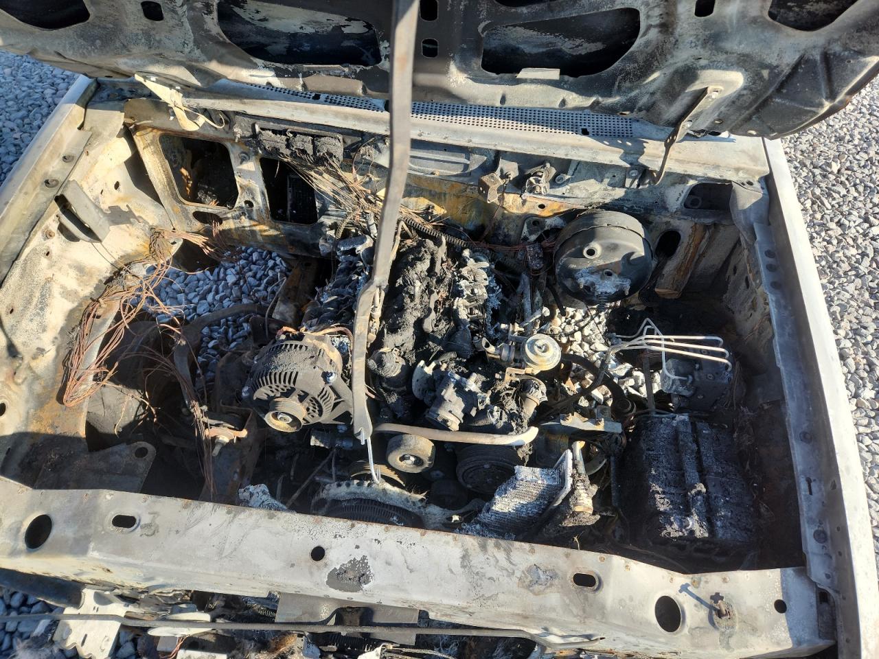 2008 Ford Ranger VIN: 1FTYR10U28PB14411 Lot: 80358445