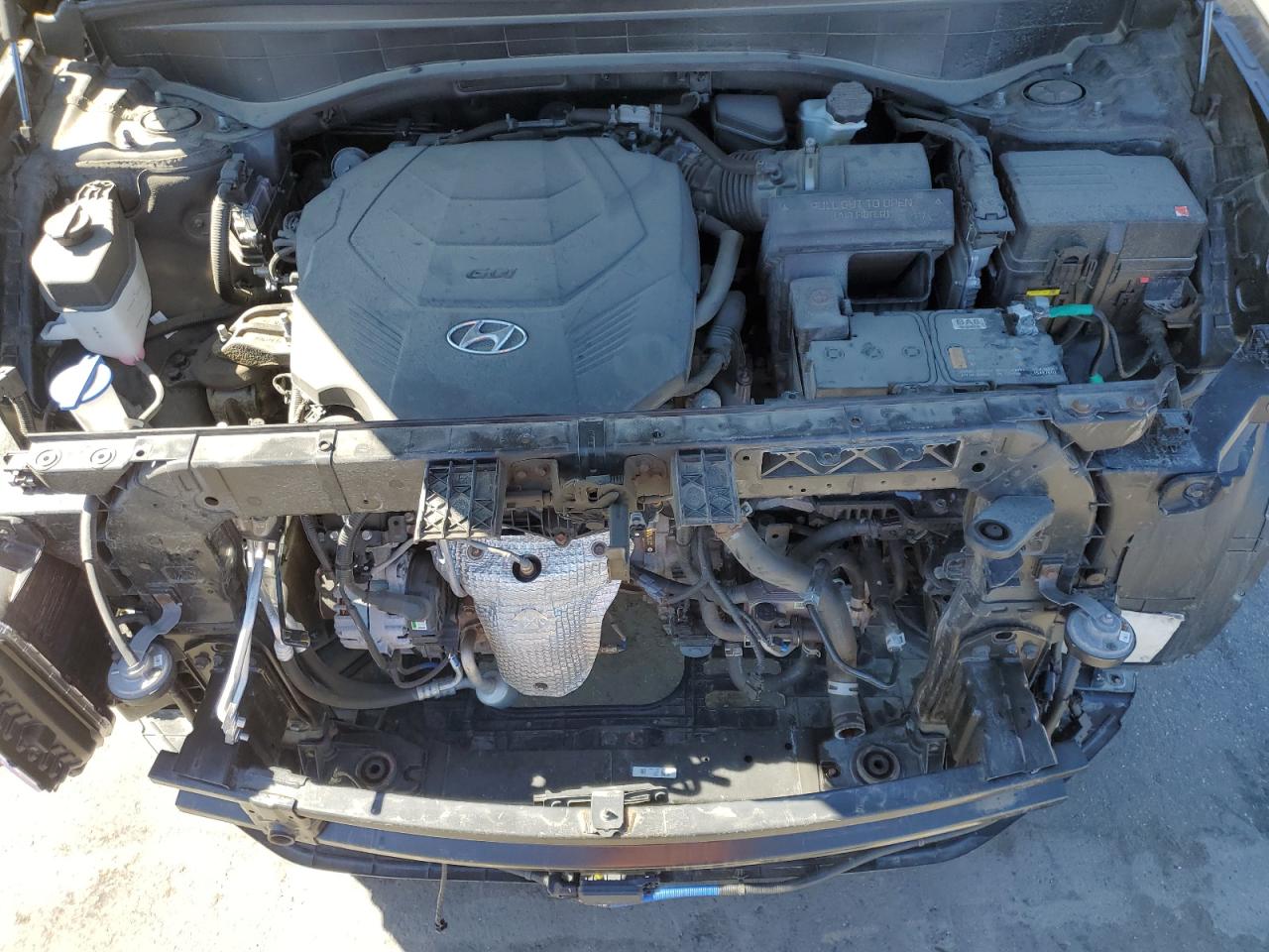 2023 Hyundai Palisade Calligraphy VIN: KM8R7DGE8PU554591 Lot: 80499875