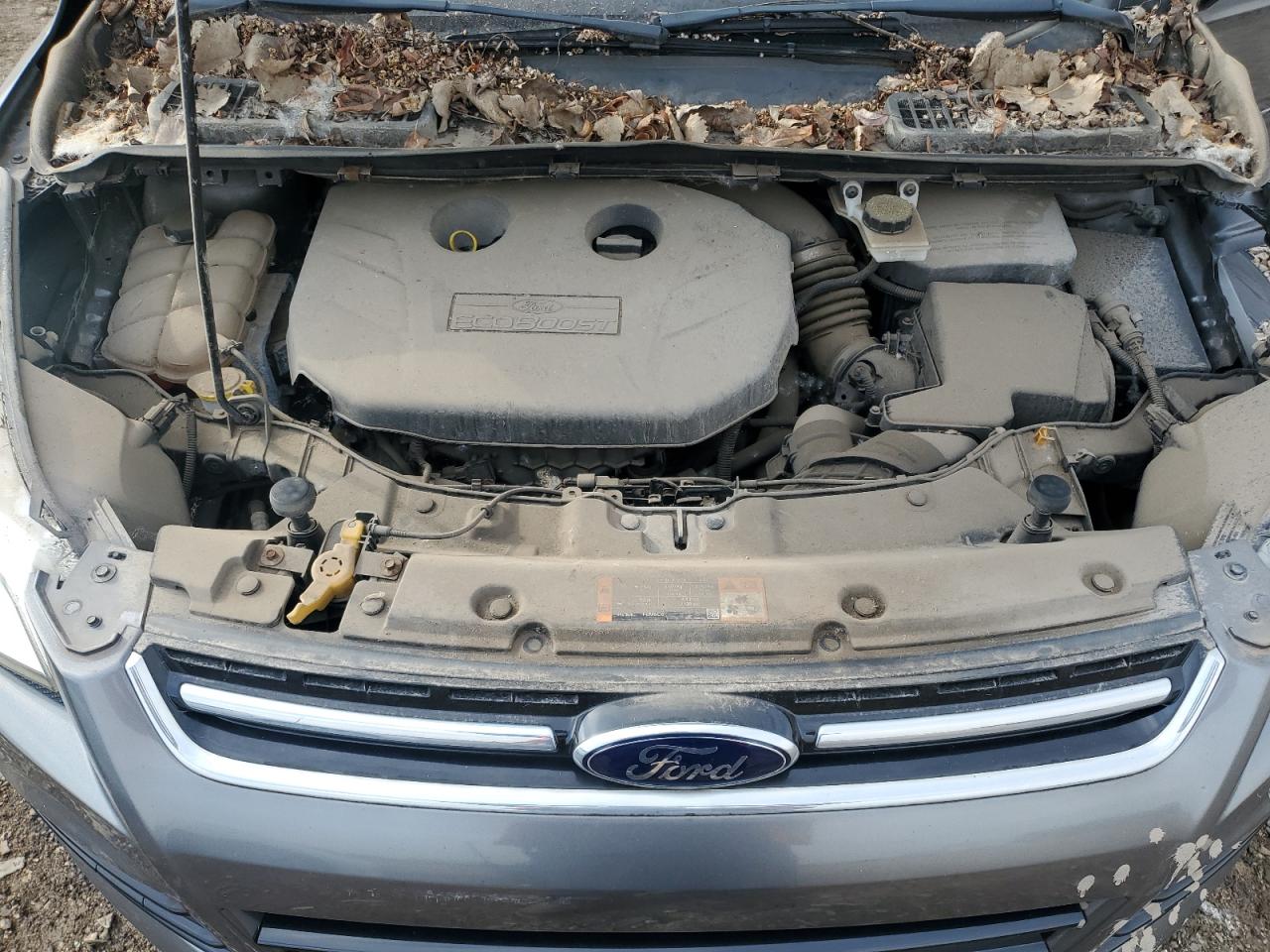 2014 Ford Escape Titanium VIN: 1FMCU9J94EUC28307 Lot: 81505085