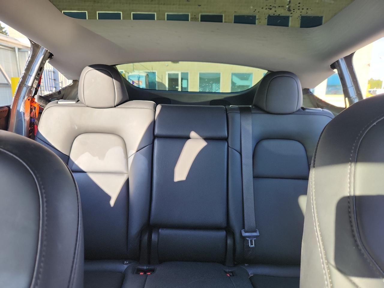 2023 Tesla Model Y VIN: 7SAYGDEE2PA199591 Lot: 82086665