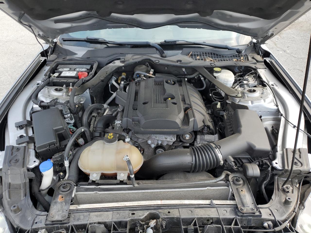 2020 Ford Mustang VIN: 1FATP8UH6L5126092 Lot: 81371405