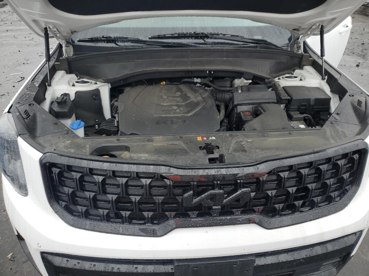 2024 Kia Telluride Sx VIN: 5XYP5DGC4RG449602 Lot: 80449635