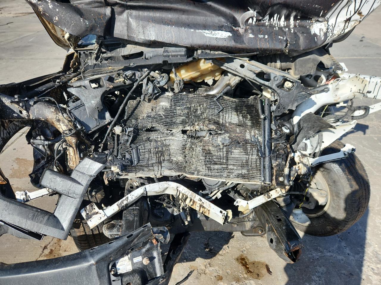 2017 Ford F150 VIN: 1FTMF1E88HKC37565 Lot: 80818775