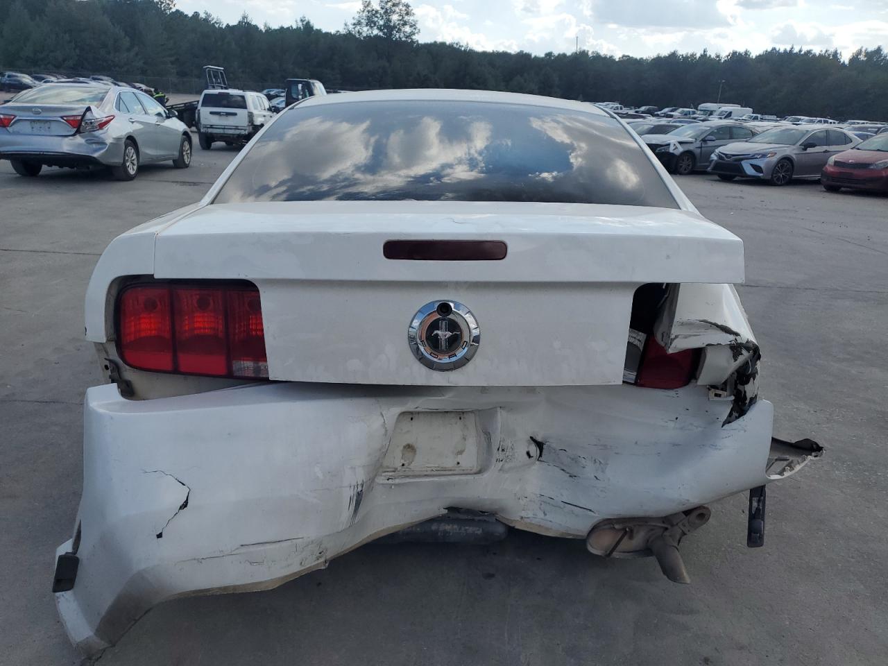2008 Ford Mustang VIN: 1ZVHT80N785140031 Lot: 81670685