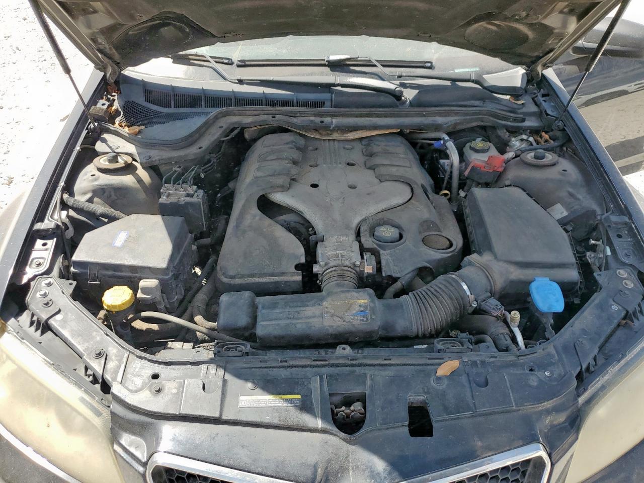 2008 Pontiac G8 VIN: 6G2ER577X8L131921 Lot: 81708125