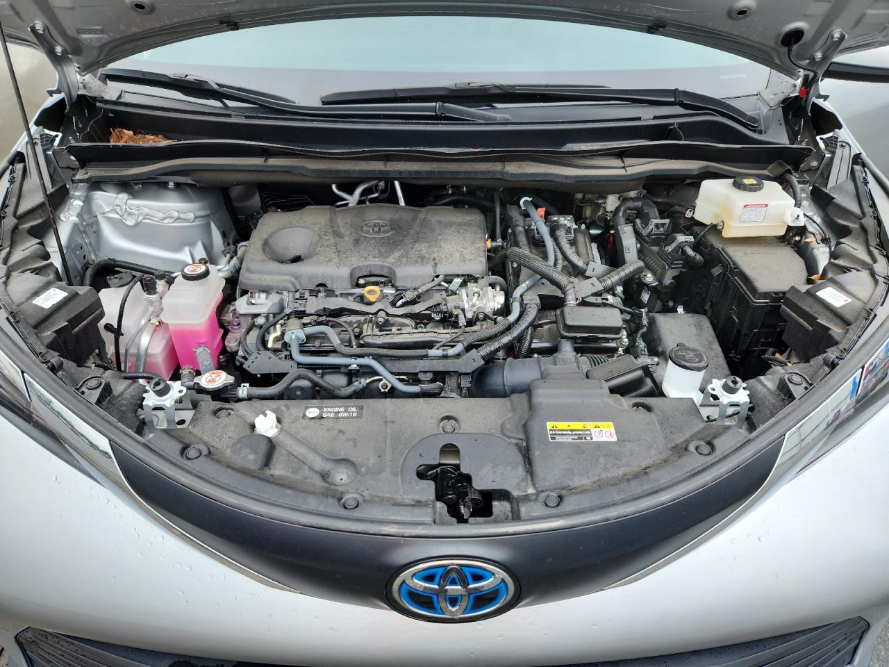 2024 Toyota Sienna Xle VIN: 5TDYRKEC6RS180523 Lot: 84188955