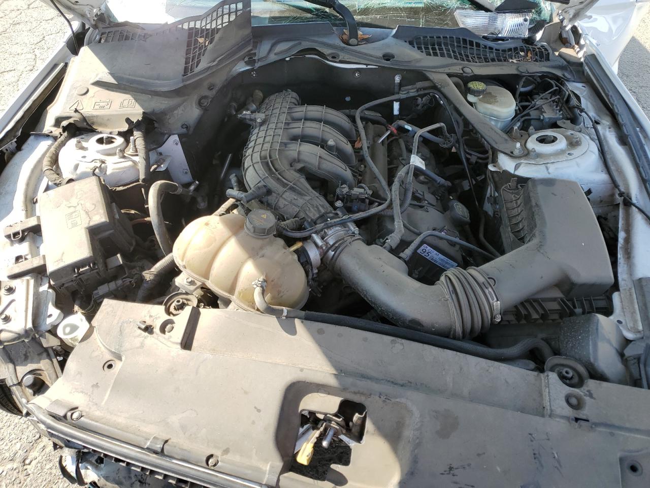 2016 Ford Mustang VIN: 1FATP8EM1G5307215 Lot: 80558775