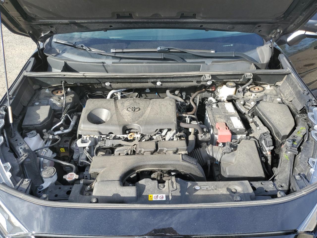 2021 Toyota Rav4 Xle VIN: 2T3P1RFV6MC180431 Lot: 81023095