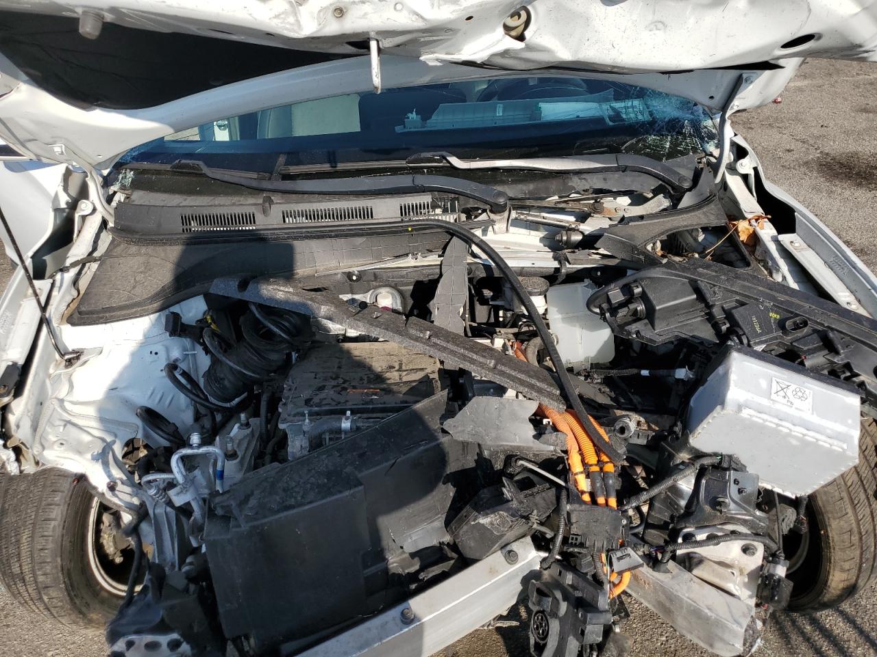 2019 Hyundai Kona Ultimate VIN: KM8K53AG0KU023616 Lot: 80827105