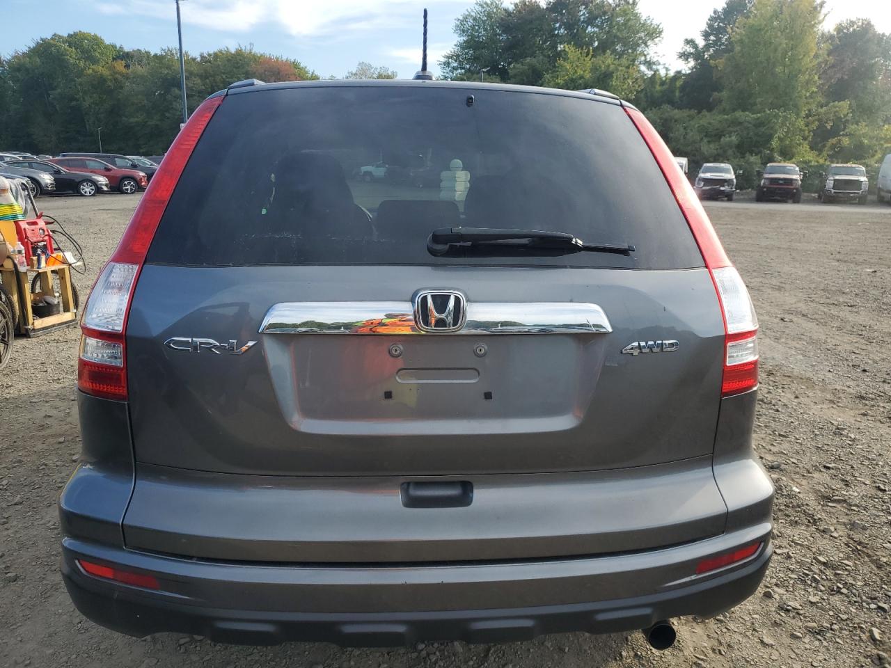 2010 Honda Cr-V Exl VIN: 5J6RE4H7XAL041165 Lot: 80343305