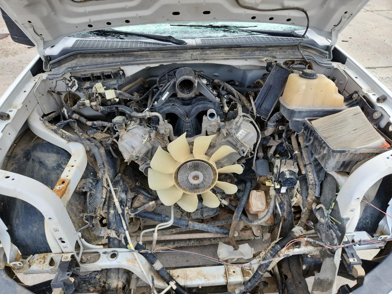 2010 Ford F250 Super Duty VIN: 1FTNF2B58AEB32369 Lot: 81491485