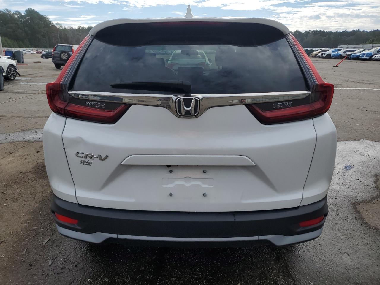 2020 Honda Cr-V Ex VIN: 5J6RW1H54LA017159 Lot: 81153945