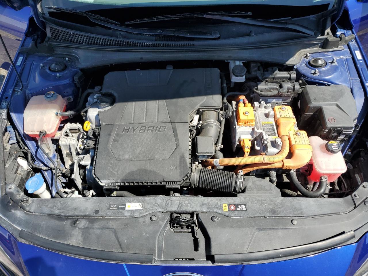 2023 Hyundai Elantra Blue VIN: KMHLM4AJ3PU075516 Lot: 81675835