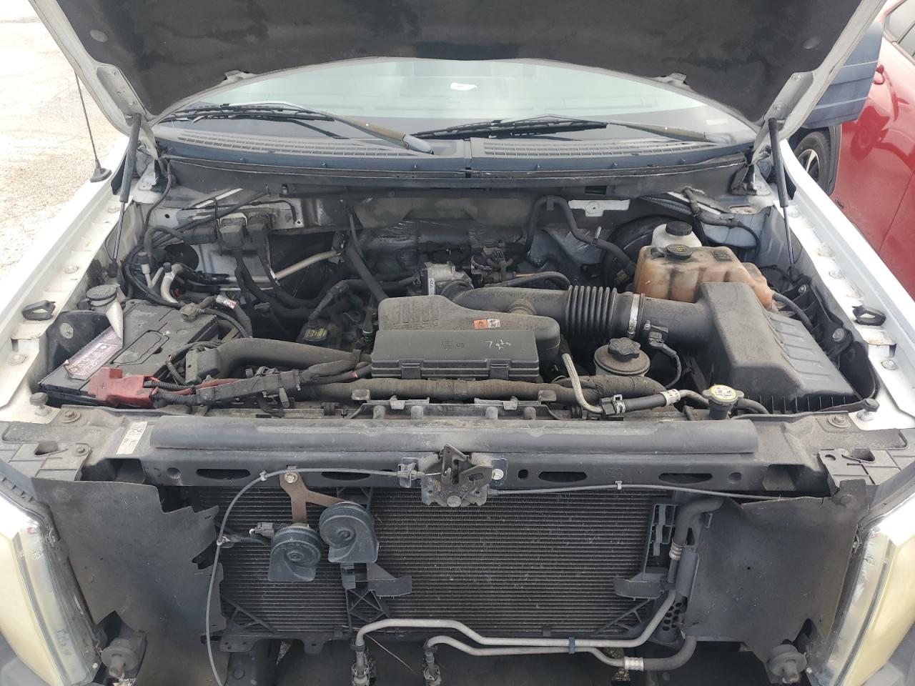 2010 Ford F150 VIN: 1FTMF1CW5AKC08645 Lot: 44368055