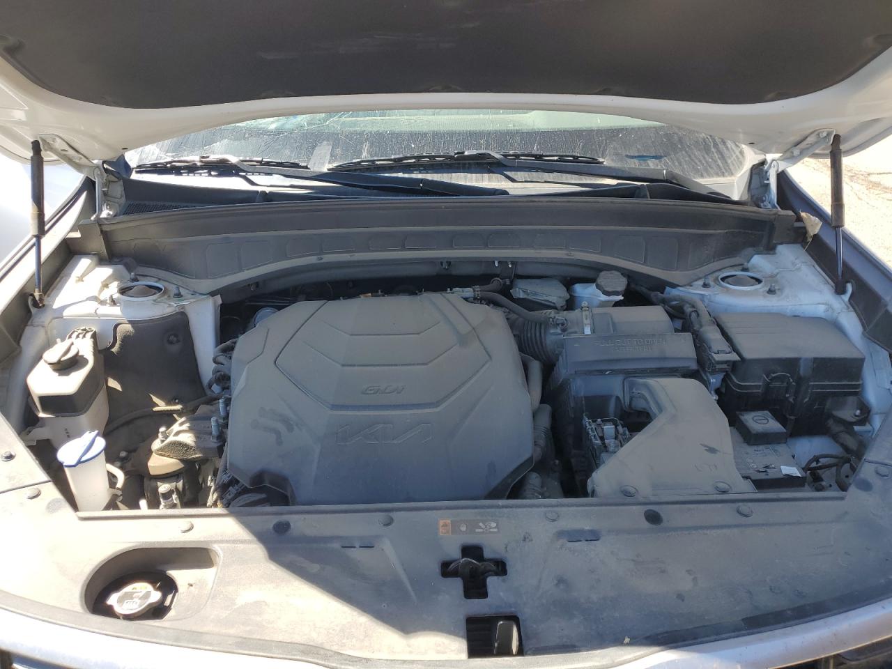 2024 Kia Telluride S VIN: 5XYP6DGC3RG486539 Lot: 80174395