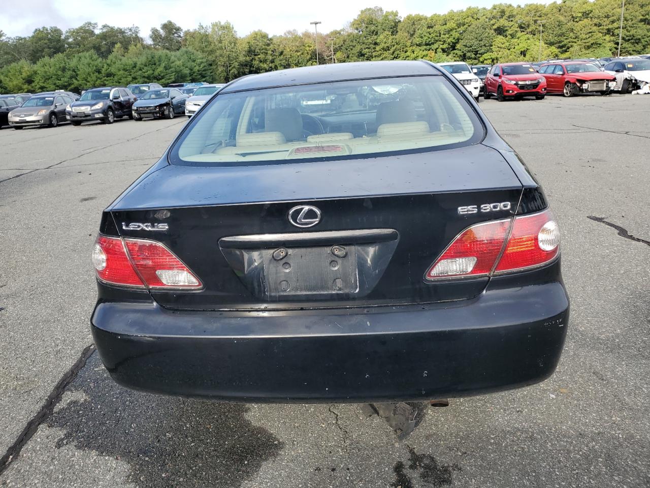2002 Lexus Es 300 VIN: JTHBF30G320015258 Lot: 80678555