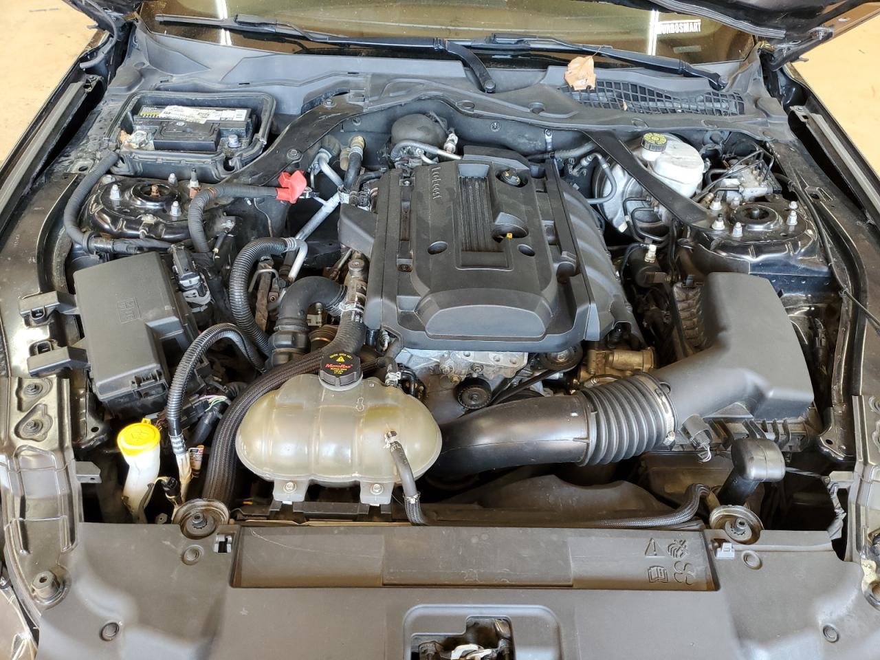 2019 Ford Mustang VIN: 1FATP8UHXK5170143 Lot: 83948115