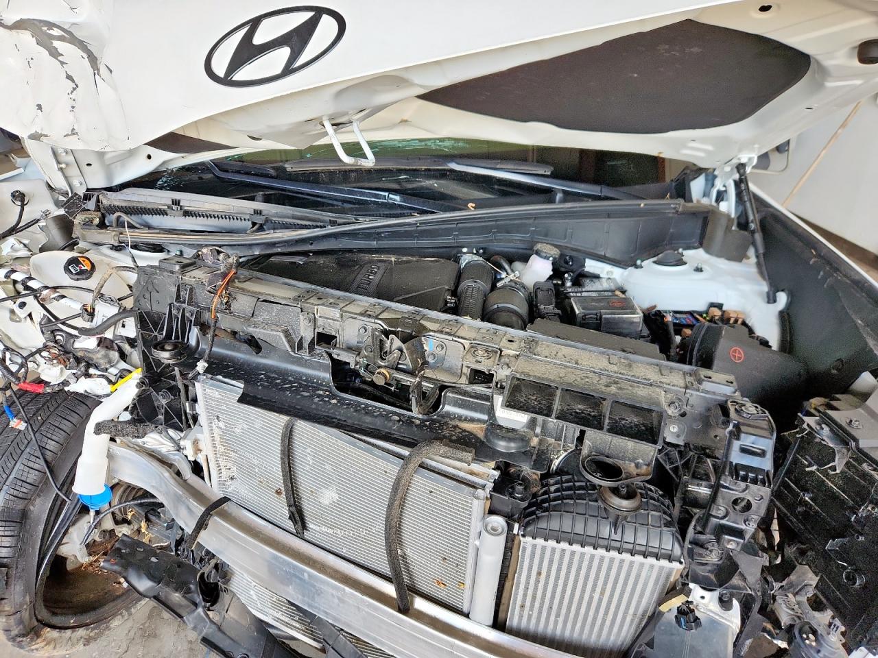 2024 Hyundai Santa Fe Calligraphy VIN: 5NMP5DGL9SH080389 Lot: 84430815