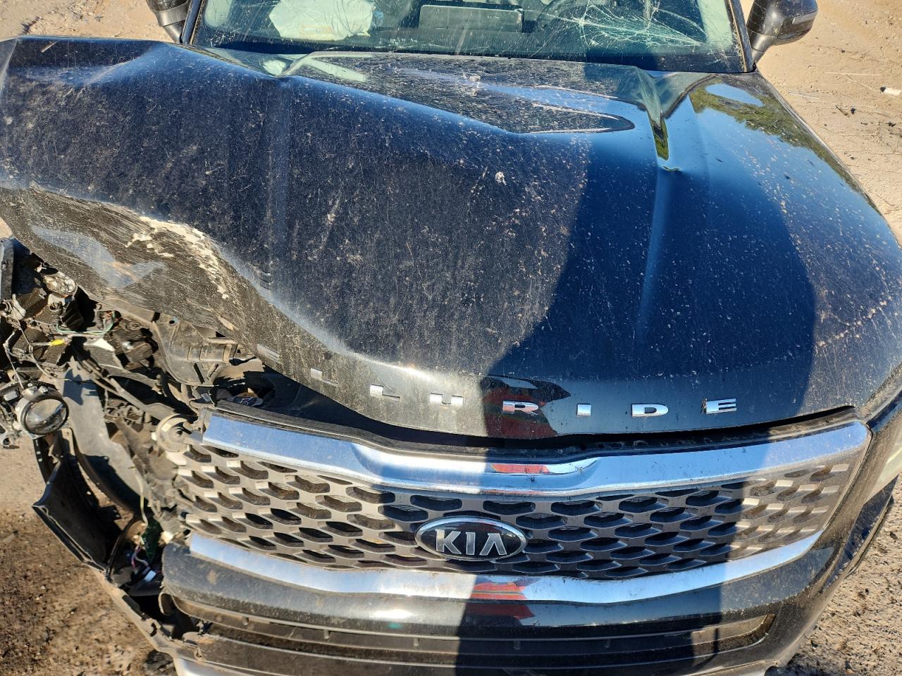 2021 Kia Telluride Lx VIN: 5XYP24HC4MG114341 Lot: 81280595
