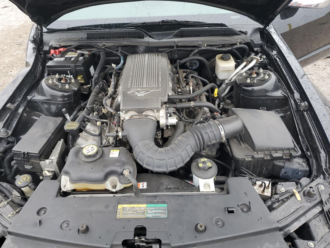 2007 Ford Mustang Gt VIN: 1ZVFT82H875235923 Lot: 81500215