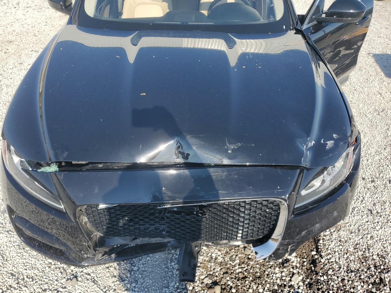 2019 Jaguar F-Pace Premium VIN: SADCJ2FN1KA607017 Lot: 71505225