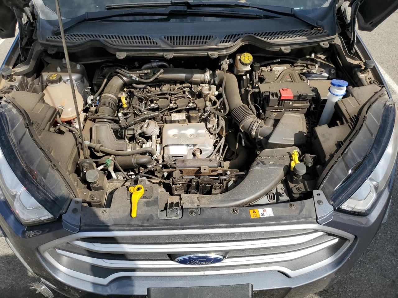 2021 Ford Ecosport Se VIN: MAJ3S2GE2MC445564 Lot: 81494605