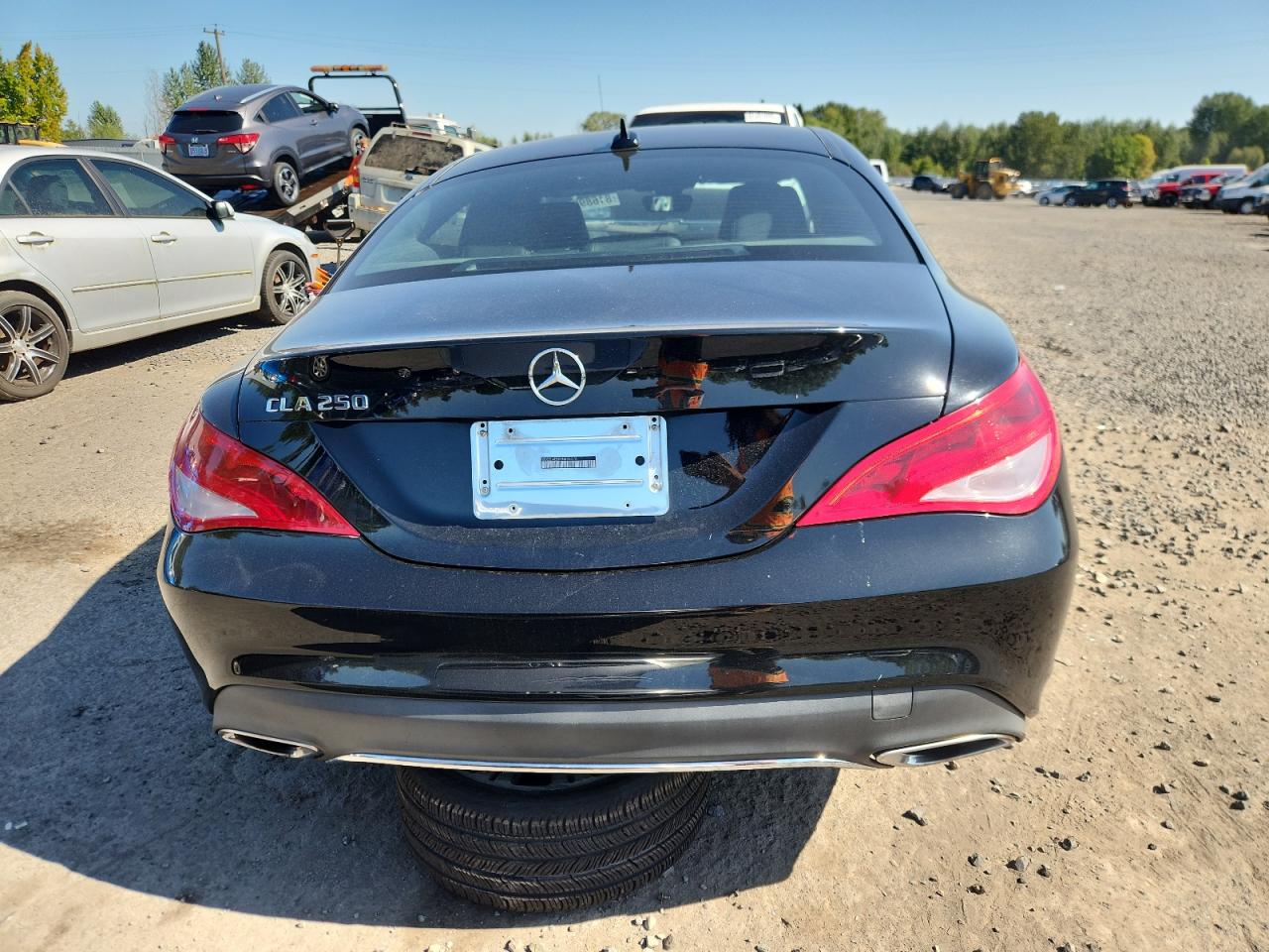 2017 Mercedes-Benz Cla 250 VIN: WDDSJ4EB0HN496378 Lot: 81689005