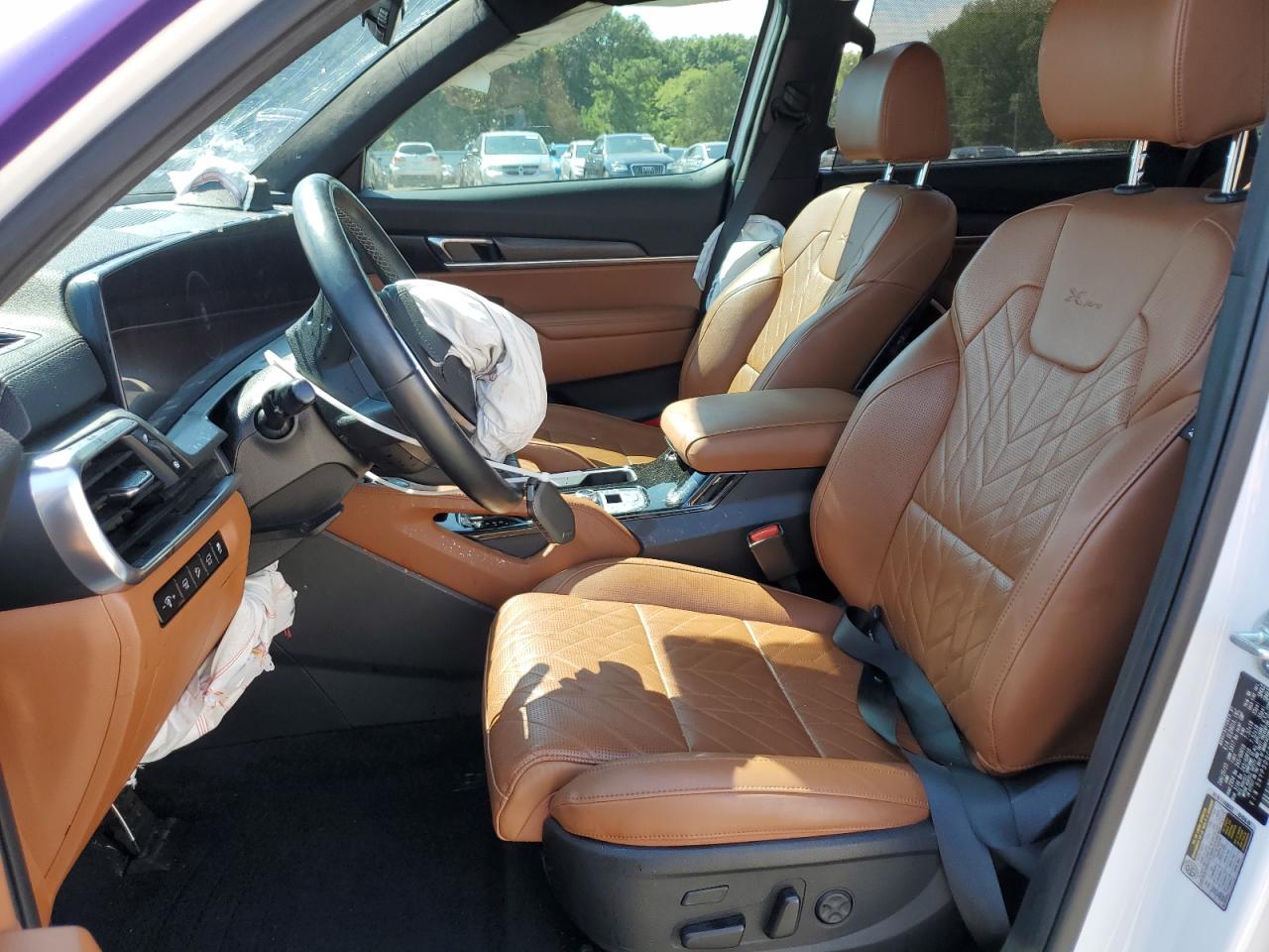 2023 Kia Telluride Sx VIN: 5XYP5DGC3PG363808 Lot: 71433525
