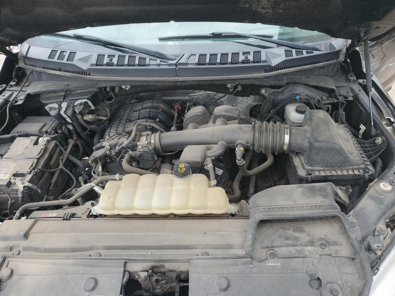 2019 Ford F150 Supercrew VIN: 1FTEW1EB8KFB68733 Lot: 80515995