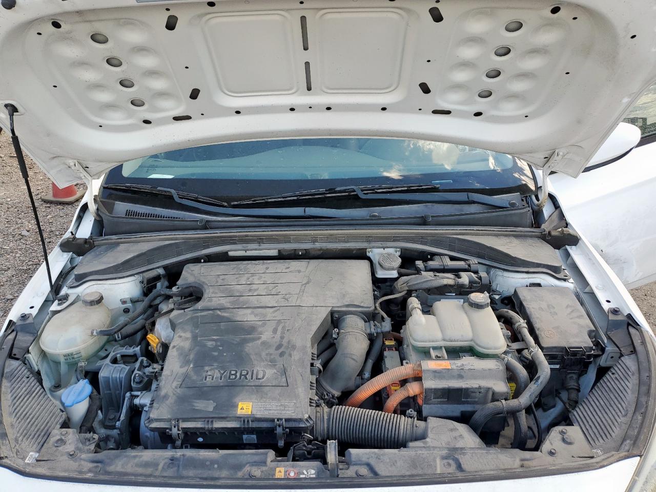 2017 Hyundai Ioniq Blue VIN: KMHC65LC6HU039819 Lot: 81762385