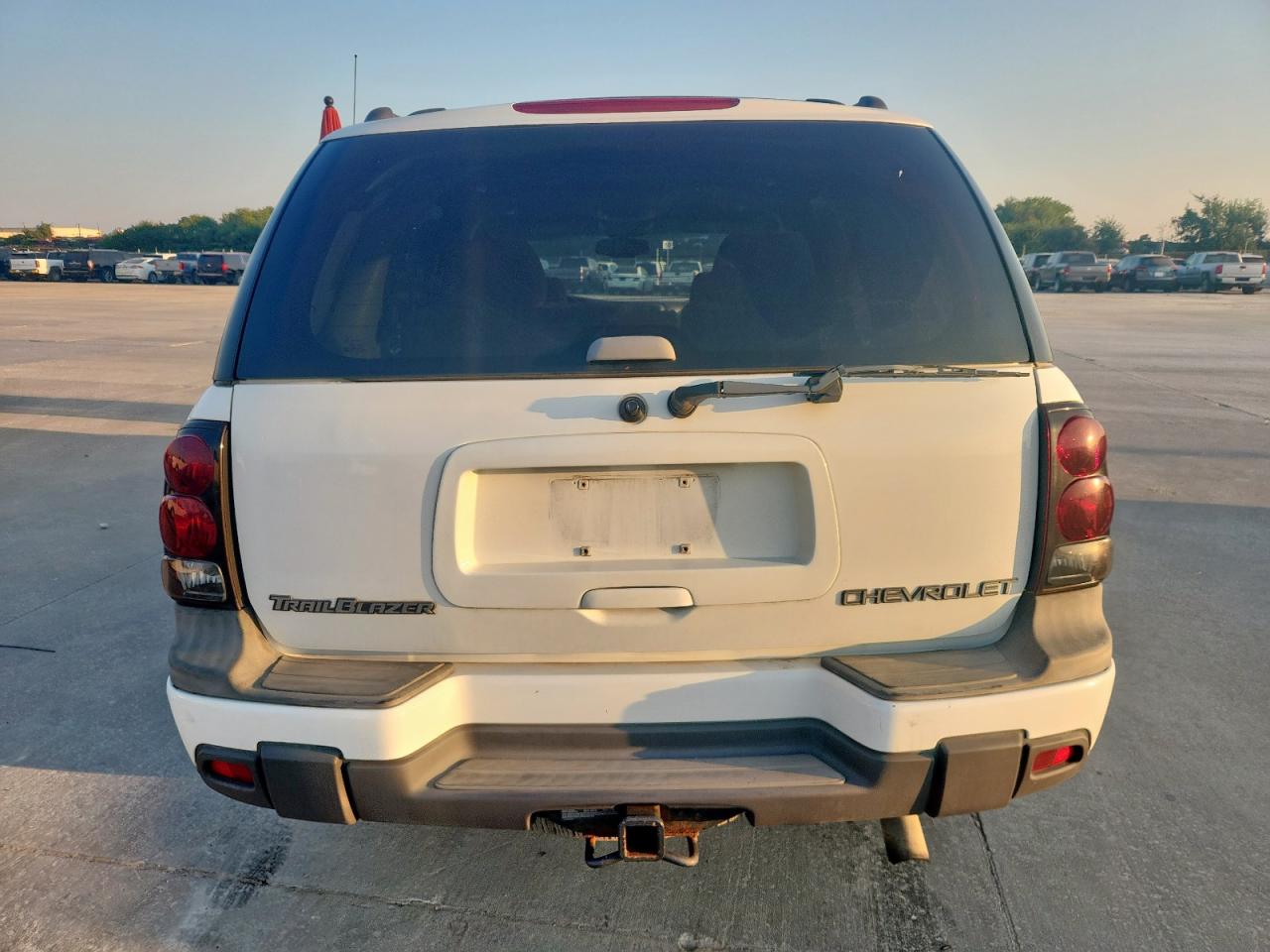 2002 Chevrolet Trailblazer VIN: 1GNDT13S922181772 Lot: 80696325