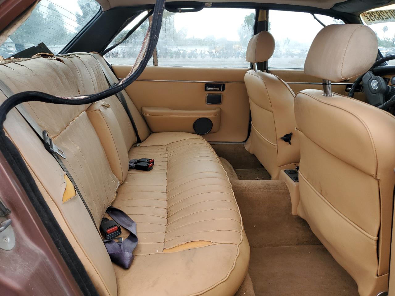 1983 Jaguar Xj6 VIN: SAJAV1348DC354846 Lot: 80012835